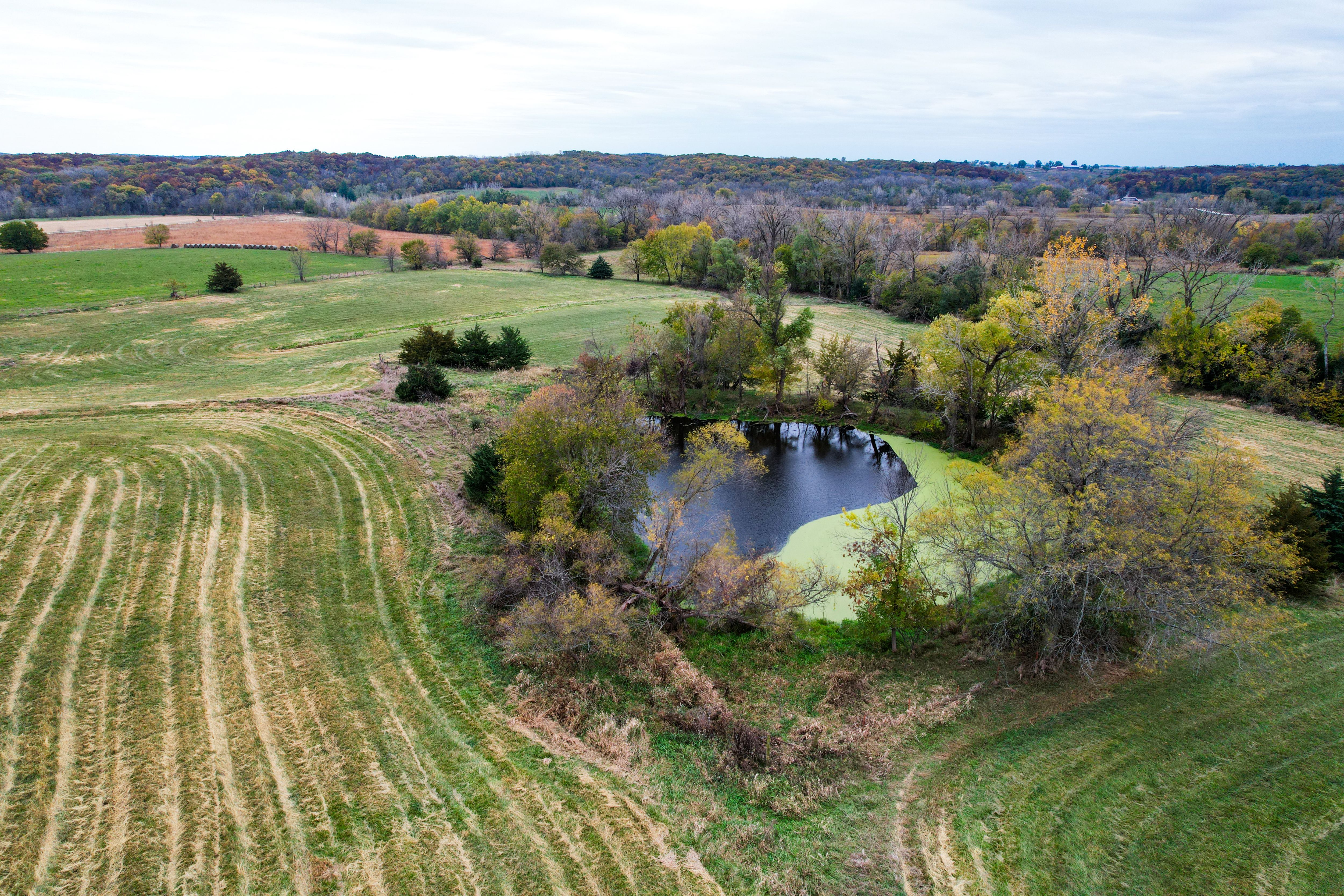 Listing Photo: Photo Oct 27 2025, 2 05 50 PM